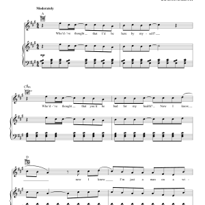 The Script Man On A Wire Musik Noten - Piano, Vocal & Guitar Chords - 158436-0