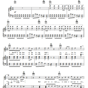 The Stooges Raw Power Musik Noten - Piano, Vocal & Guitar Chords - 70565-0