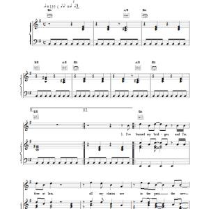 The Waterboys The New Life Musik Noten - Piano, Vocal & Guitar Chords - 17271-0