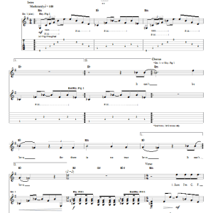 The White Stripes The Union Forever Musik Noten - Guitar Tab - 24235-0