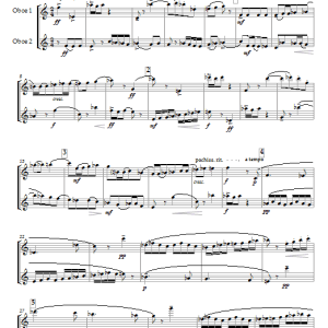 Thea Musgrave Take Two Oboes (Oboe Duet) Musik Noten - Oboe Duet - 44922-0