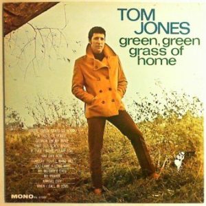 Tom Jones Funny Familiar Forgotten Feelings Musik Noten - Piano, Vocal & Guitar Chords - 15526-thumbnail