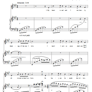 Traditional Bury Me Beneath The Willow Musik Noten - Piano, Vocal & Guitar Chords - 21276-0