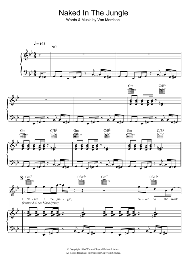 Van Morrison Naked In The Jungle Musik Noten - Piano, Vocal & Guitar Chords - 103798-0