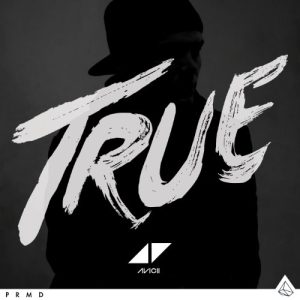 Avicii You Make Me Musik Noten - Piano, Vocal & Guitar Chords - 116952-thumbnail