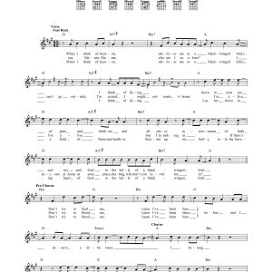 Counting Crows Rain King Musik Noten - Guitar Chords/Lyrics - 118000-0
