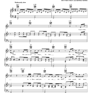 Danny Gokey Tell Your Heart To Beat Again Musik Noten - Piano, Vocal & Guitar Chords - 169180-0
