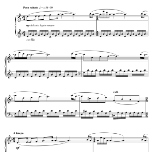 Debbie Wiseman Crows (From 'Wolf Hall') Musik Noten - Piano Solo - 122961-0
