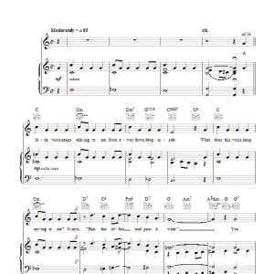 Frank Sinatra I Like To Lead When I Dance Musik Noten - Piano, Vocal & Guitar Chords - 111128-0