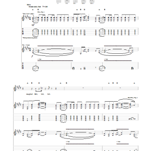 Frank Zappa Can't Afford No Shoes Musik Noten - Guitar Tab - 150259-0