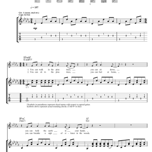 Jake Bugg Pine Trees Musik Noten - Guitar Tab - 120165-0