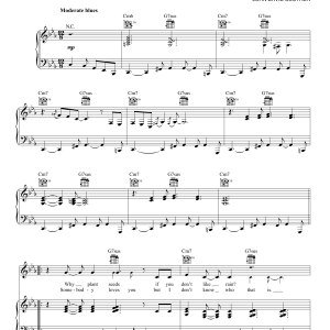 J.D. Souther A Chorus Of Your Own Musik Noten - Piano, Vocal & Guitar Chords - 155232-0