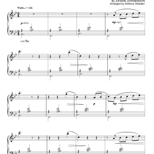 Johann Johannsson The Wedding (from The Theory Of Everything) Musik Noten - Piano Solo - 158174-0