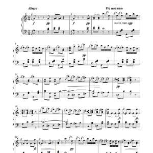 Johann Strauss II Pizzicato Polka Musik Noten - Piano Solo - 117313-0