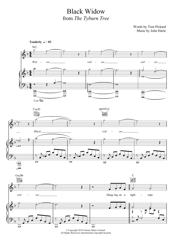 John Harle & Marc Almond Black Widow Musik Noten - Piano, Vocal & Guitar Chords - 121696-0