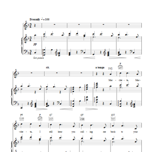 Karl Denver Marcheta Musik Noten - Piano, Vocal & Guitar Chords - 110713-0