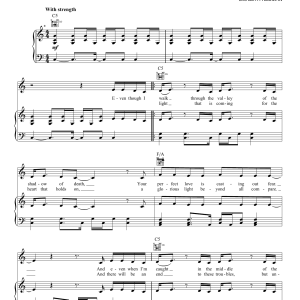 Matt Redman You Never Let Go Musik Noten - Lead Sheet / Fake Book - 178899-0