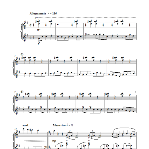 Maurice Ravel Piano Concerto In G, 1st Movement 'Allegramente' Musik Noten - Piano Solo - 117258-0