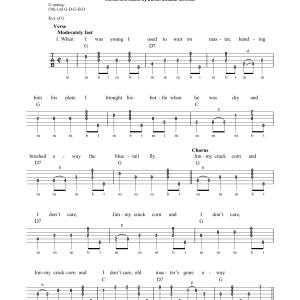 Michael Miles The Blue Tail Fly (Jimmy Crack Corn) Musik Noten - Banjo Tab - 178268-0