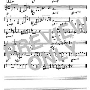 Pat Metheny Unity Village Musik Noten - Real Book – Melody & Chords – C Instruments - 65477-0