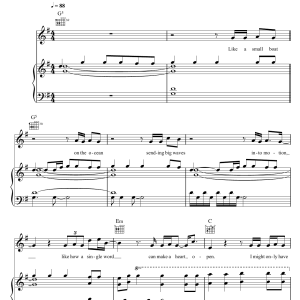 Rachel Platten Fight Song Musik Noten - Piano, Vocal & Guitar Chords - 122176-0