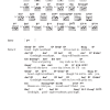 Sarah Vaughan Goodnight Sweetheart Musik Noten - Guitar Chords/Lyrics - 119078-0