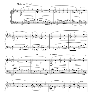 Sergei Rachmaninoff Piano Concerto No.2 - 1st Movement Musik Noten - Piano Solo - 117647-0