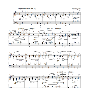 Sergei Rachmaninov Symphony No.2 - 1st Movement Musik Noten - Piano Solo - 117660-0