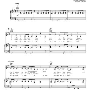 Sheryl Crow Home Musik Noten - Piano, Vocal & Guitar Chords - 156462-0
