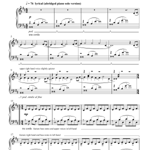 Steffen Wick Coming Musik Noten - Piano Solo - 123488-0