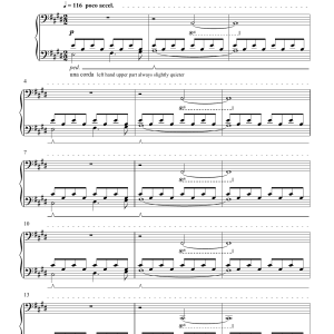 Steffen Wick Fieri Musik Noten - Piano Solo - 123481-0