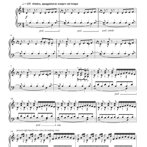 Steffen Wick Salto Musik Noten - Piano Solo - 123492-0