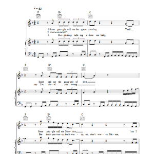 Steve Miller Band The Joker Musik Noten - Guitar Chords/Lyrics - 153200-0