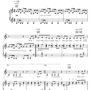 The 1975 The Sound Musik Noten - Piano, Vocal & Guitar Chords - 123064-0