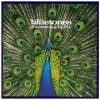 The Bluetones Slight Return Musik Noten - Guitar Chords/Lyrics - 117499-0
