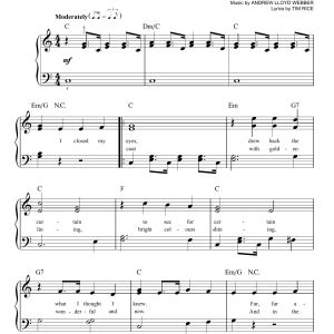 Tim Rice Any Dream Will Do Musik Noten - Easy Piano - 153075-0