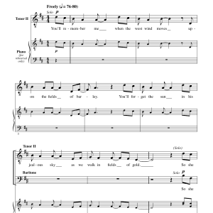 Ethan Sperry Fields Of Gold Musik Noten - TTBB Choir - 172575-0