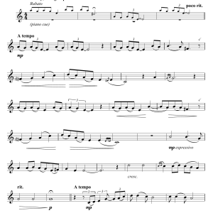 George Gershwin Someone To Watch Over Me Musik Noten - Piano & Vocal - 158717-0