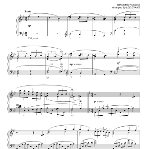 Giacomo Puccini Vissi D'arte (arr. Lee Evans) Musik Noten - Piano Solo - 180109-0