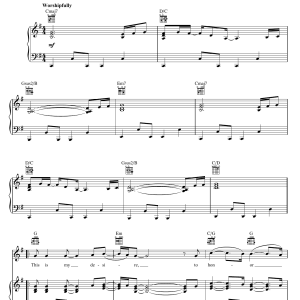 Hillsong Worship I Give You My Heart Musik Noten - Lead Sheet / Fake Book - 179536-0
