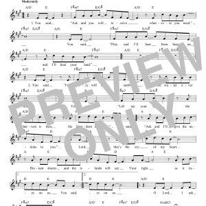 Hillsong You Said Musik Noten - Lead Sheet / Fake Book - 179619-0