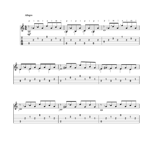 Mauro Giuliani Allegro Op. 30 Musik Noten - Solo Guitar - 170205-0