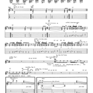 Metallica Phantom Lord Musik Noten - Bass Guitar Tab - 170684-0