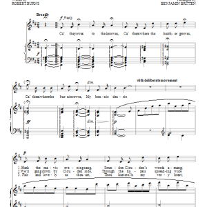 Benjamin Britten Ca' the yowes Musik Noten - Piano & Vocal - 96259-0