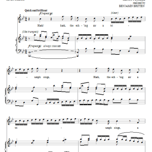 Benjamin Britten Hark The Ech'ing Air! Musik Noten - Piano & Vocal - 70498-0