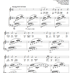 Benjamin Britten I was lonely and forlorn Musik Noten - Piano & Vocal - 96326-0