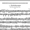 Benjamin Lees Kaleidoscopes, Ten Pieces For Piano Solo, IX. Musik Noten - Piano Solo - 89511-0