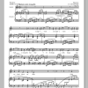 Charles Villiers Stanford The Fairy Lough Musik Noten - Piano & Vocal - 90929-0