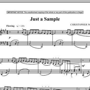 Christopher Norton Just A Sample Musik Noten - Piano Solo - 90375-0