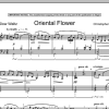 Christopher Norton Oriental Flower Musik Noten - Piano Solo - 90366-0